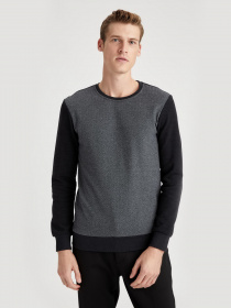 Свитшот DeFacto модель T2163AZ-AR102 Фото