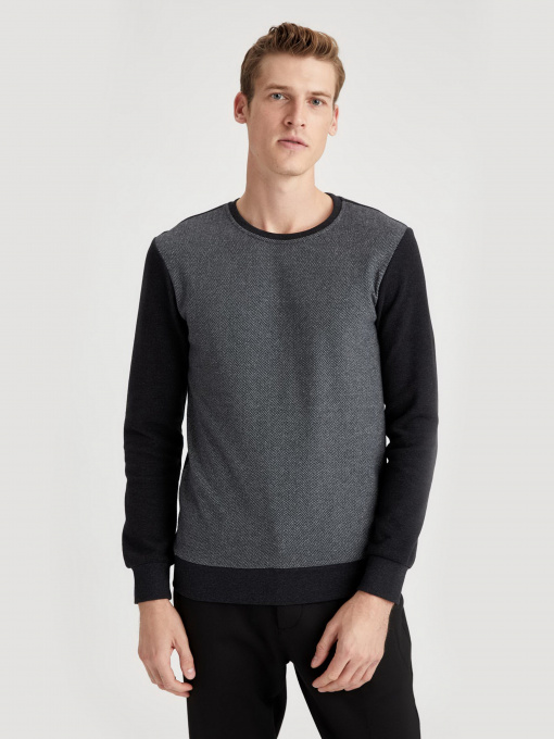 Світшот DeFacto модель T2163AZ-AR102 Фото