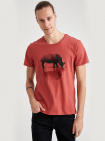 Футболки и поло DeFacto модель T2202AZ-BR91 Фото