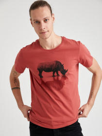 Футболки і поло DeFacto модель T2202AZ-BR91 Фото