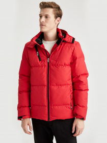 Демисезонная куртка DeFacto модель T2596AZ-RD1 Фото