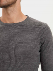 Пуловер DeFacto модель R2615AZ-GR228 Фото