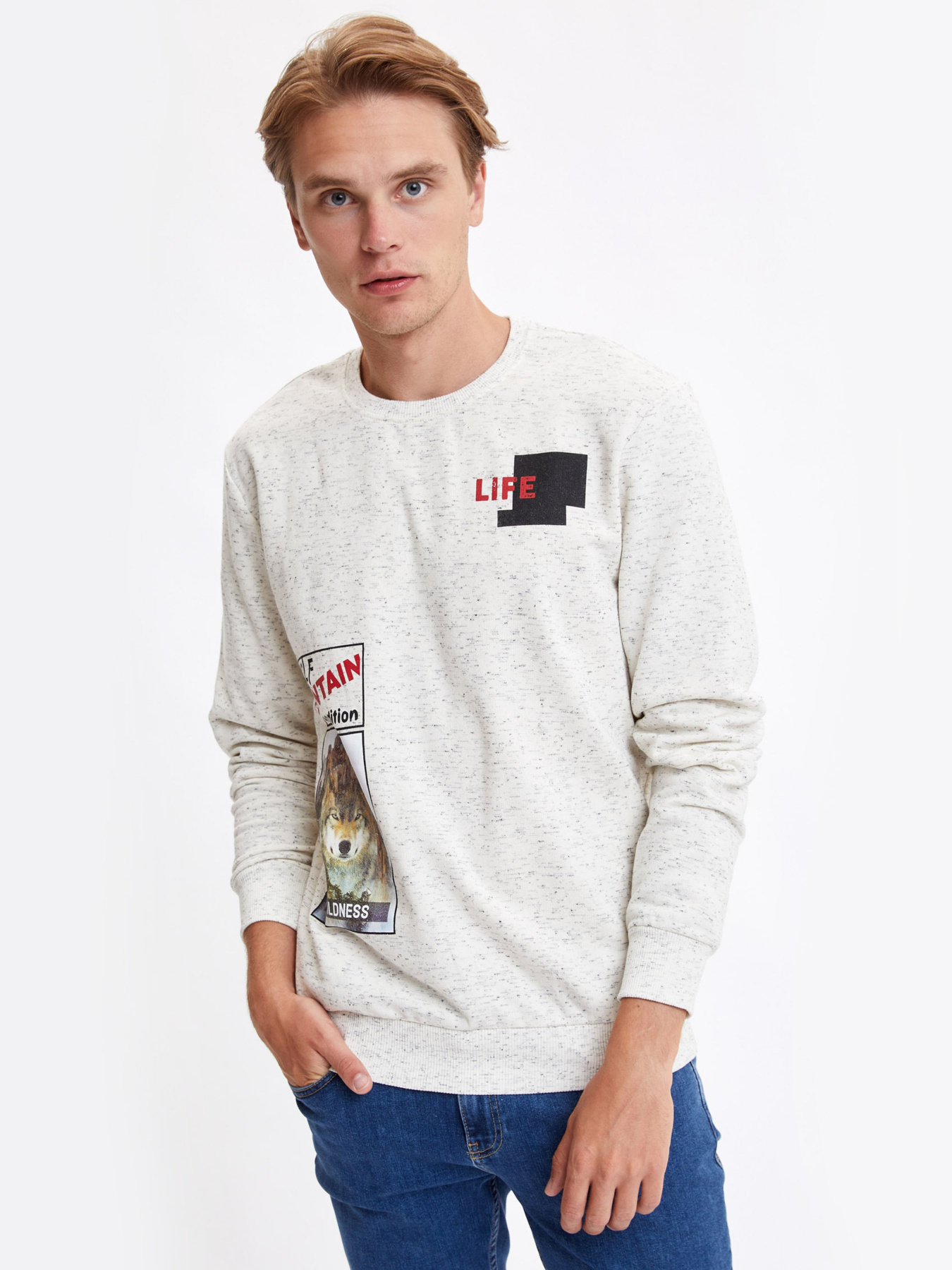 Свитшот DeFacto модель R3107AZ-ER139 Фото