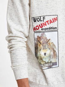 Свитшот DeFacto модель R3107AZ-ER139 Фото