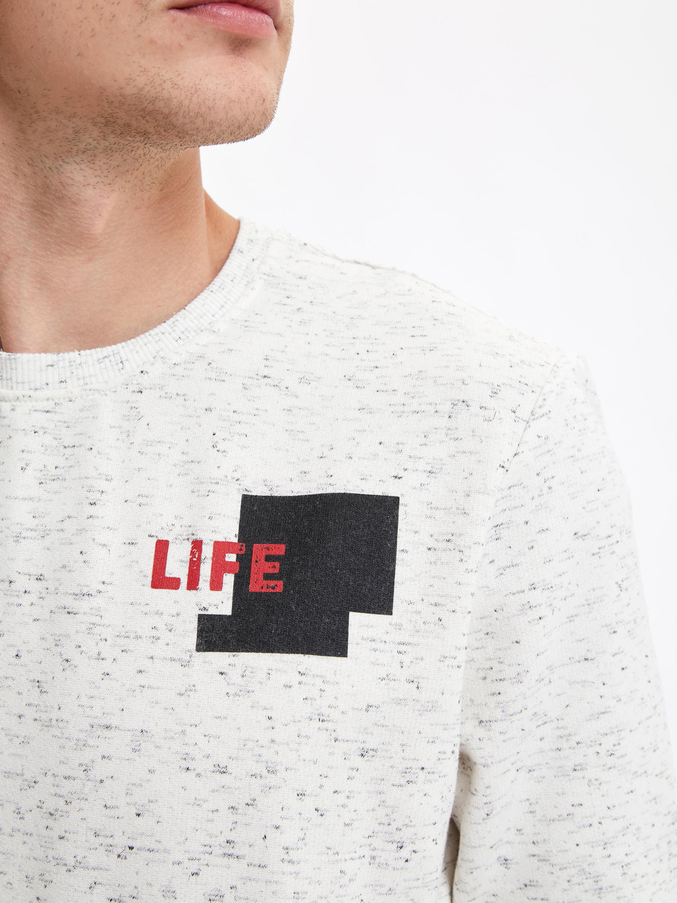 Світшот DeFacto модель R3107AZ-ER139 Фото