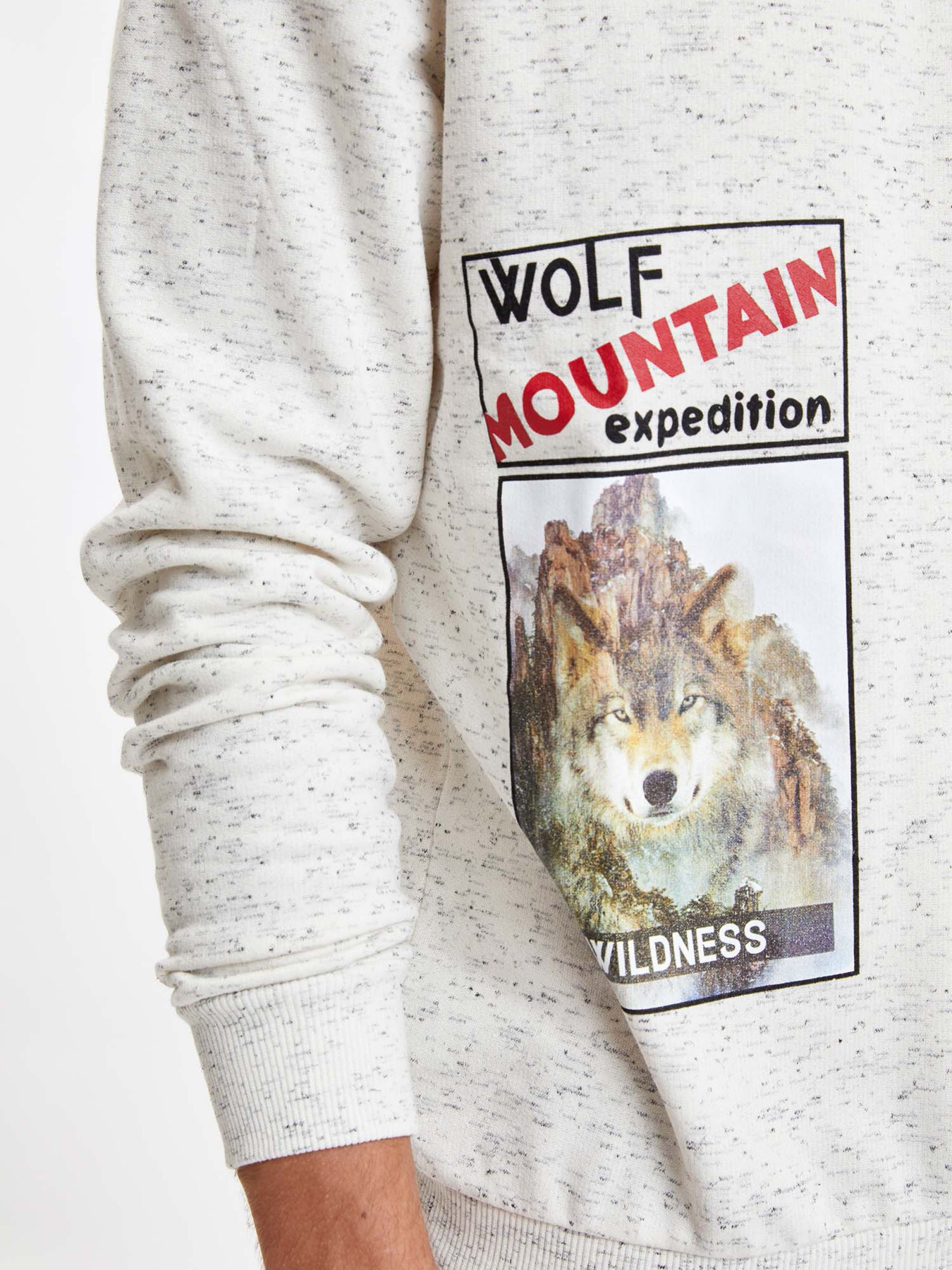 Світшот DeFacto модель R3107AZ-ER139 Фото