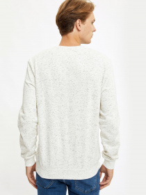 Світшот DeFacto модель R3107AZ-ER139 Фото