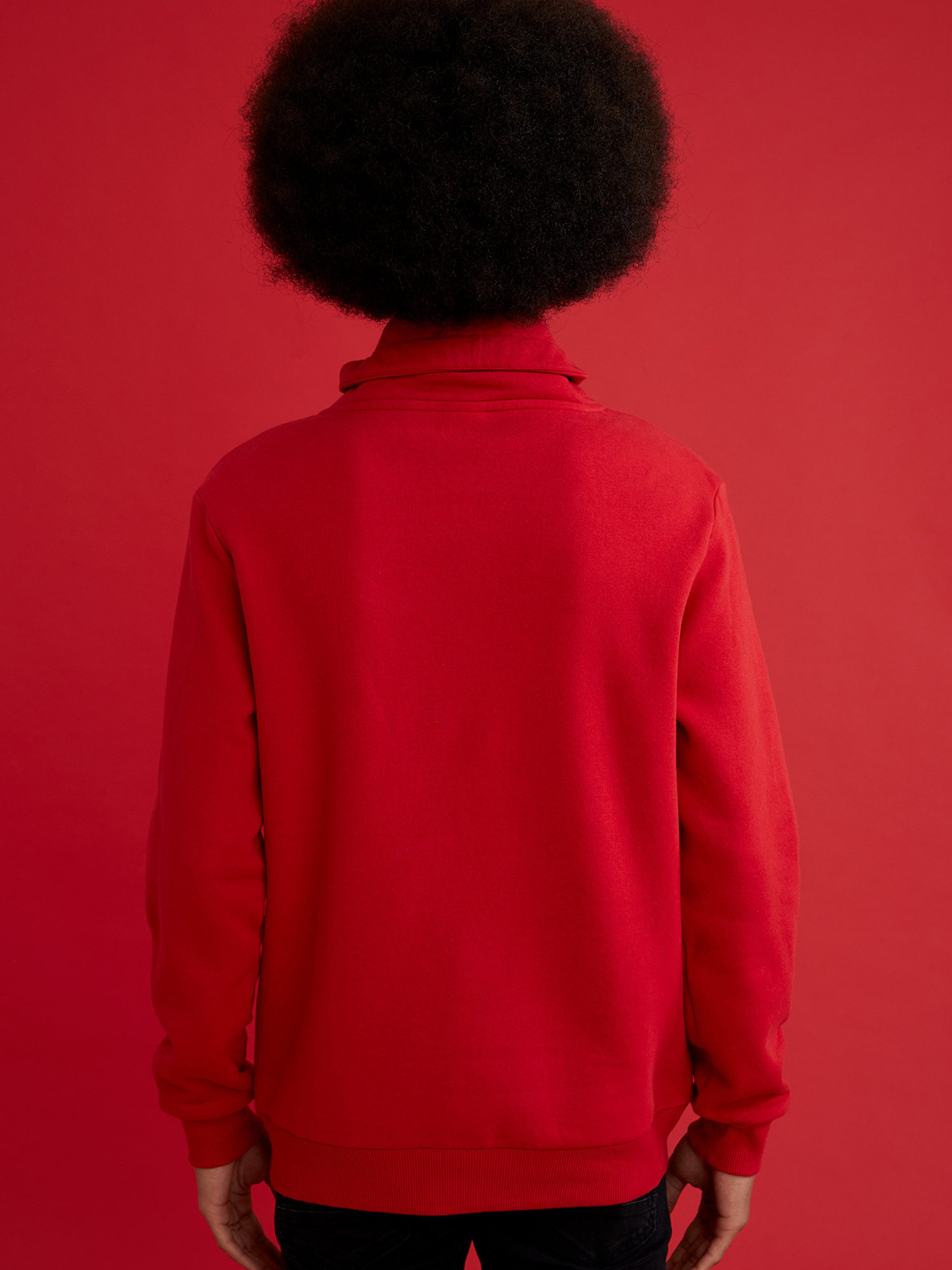 Кофта DeFacto модель S6013AZ-RD296 Фото