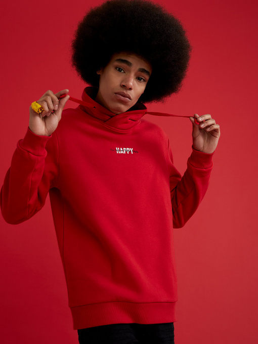 Кофта DeFacto модель S6013AZ-RD296 Фото