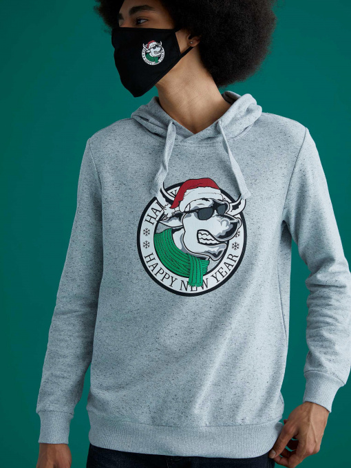 Худі DeFacto модель T1074AZ-GR362 Фото