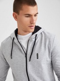 Кофта DeFacto модель S2121AZ-GR360 Фото