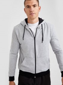 Кофта DeFacto модель S2121AZ-GR360 Фото