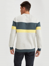 Джемпер DeFacto модель R2662AZ-BG300 Фото