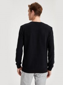 Свитшот DeFacto модель T2158AZ-BK27 Фото