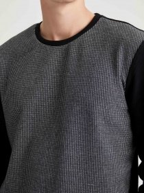 Свитшот DeFacto модель T2158AZ-BK27 Фото