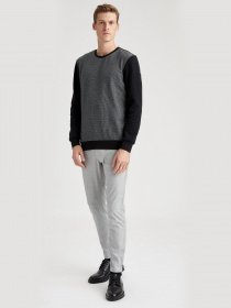 Свитшот DeFacto модель T2158AZ-BK27 Фото