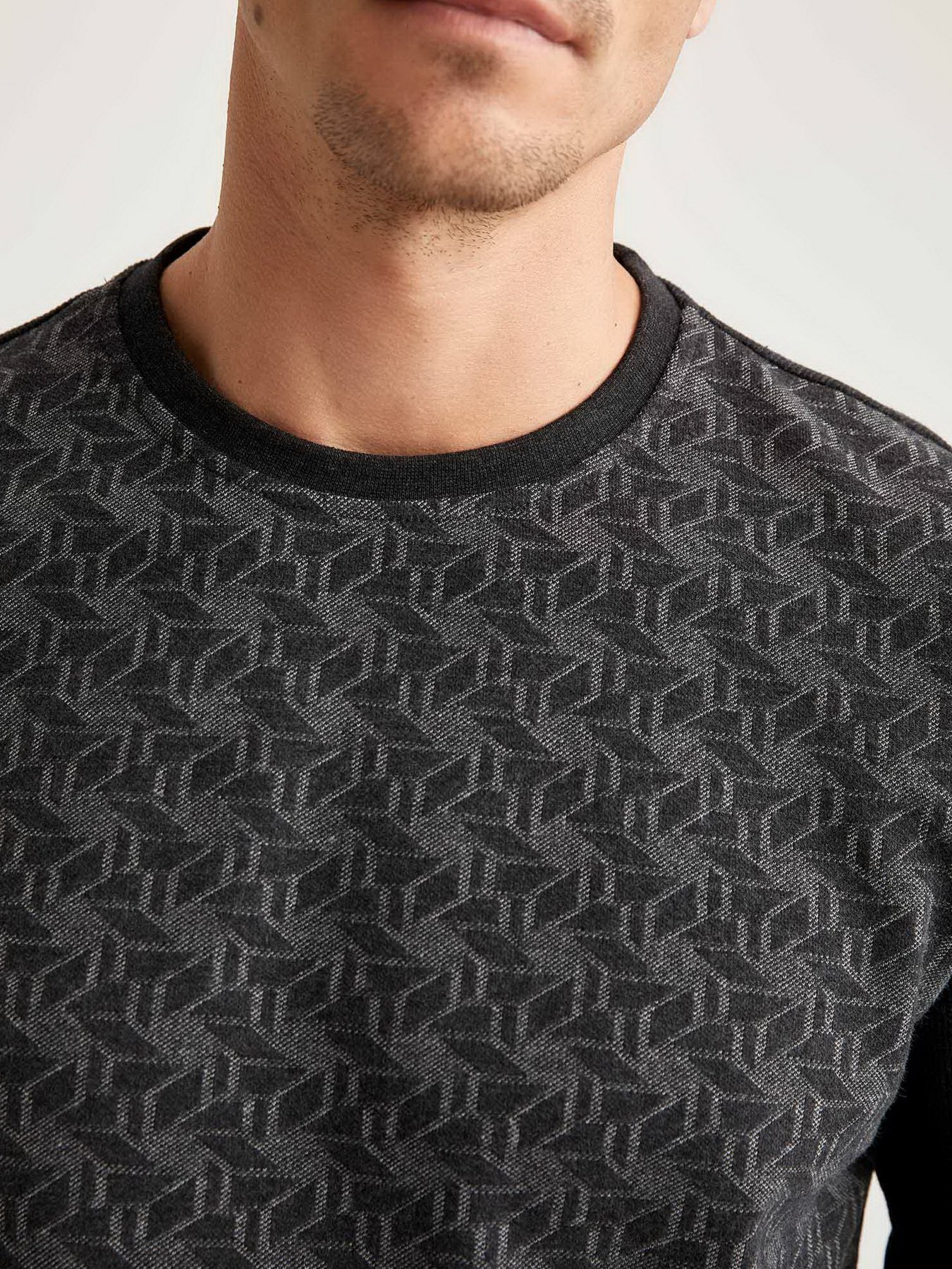 Свитшот DeFacto модель T2164AZ-AR102 Фото