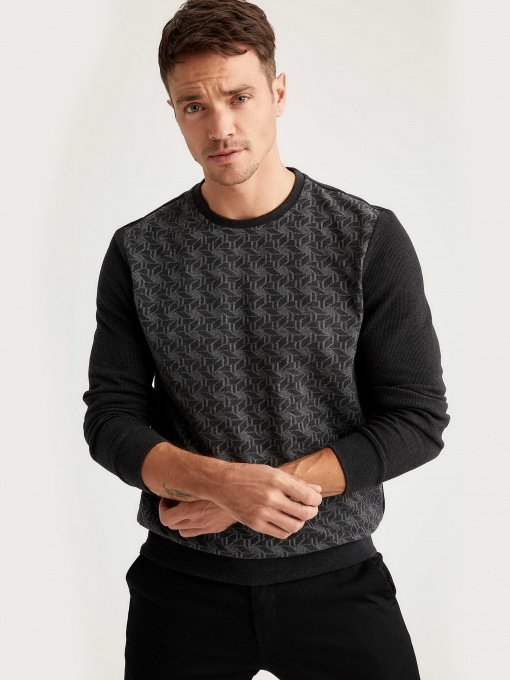 Свитшот DeFacto модель T2164AZ-AR102 Фото