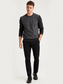 Свитшот DeFacto модель T2164AZ-AR102 Фото