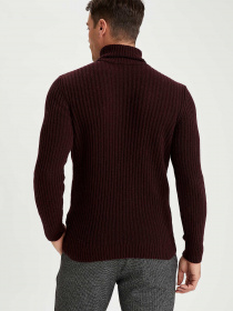 Светр DeFacto модель T1938AZ-BR31 Фото