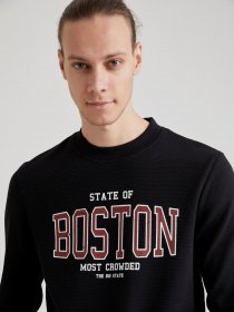 Свитшот DeFacto модель T5281AZ-BK27 Фото