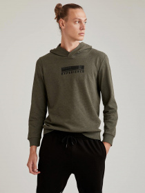 Худи DeFacto модель S7234AZ-KH244 Фото