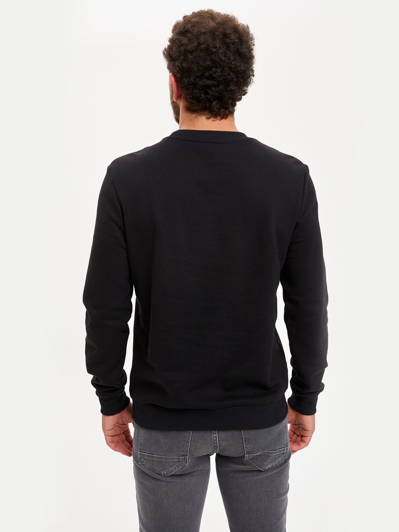 Свитшот DeFacto модель R3229AZ-BK27 Фото