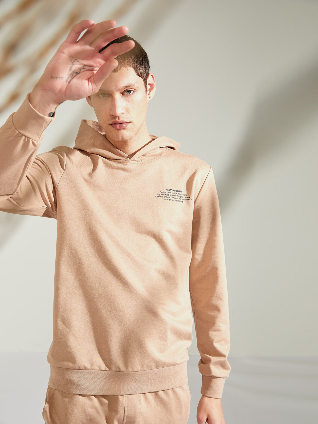 Худи DeFacto модель T3384AZ-BG79 Фото