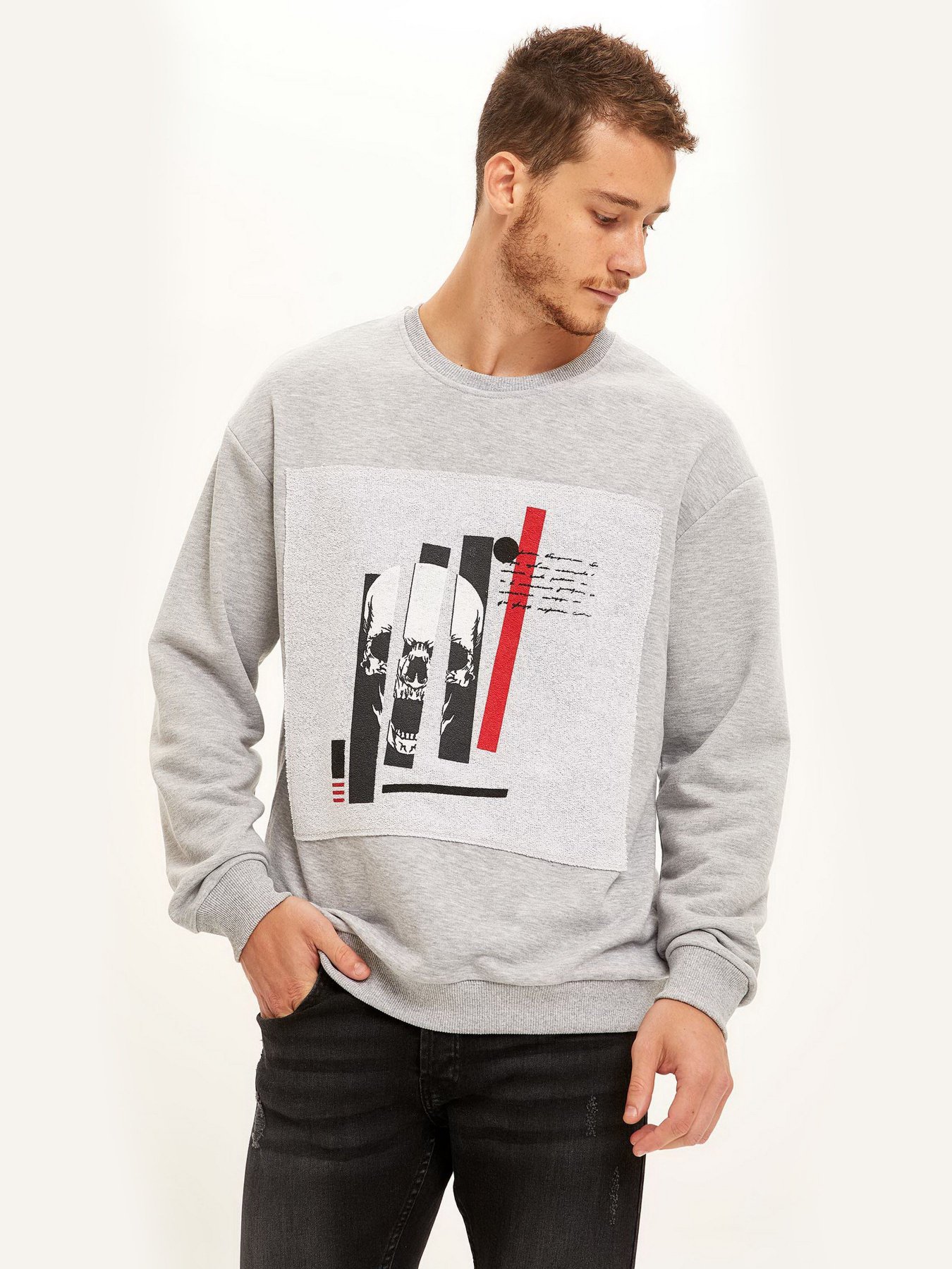 Свитшот DeFacto модель S8039AZ-GR362 Фото