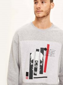 Свитшот DeFacto модель S8039AZ-GR362 Фото