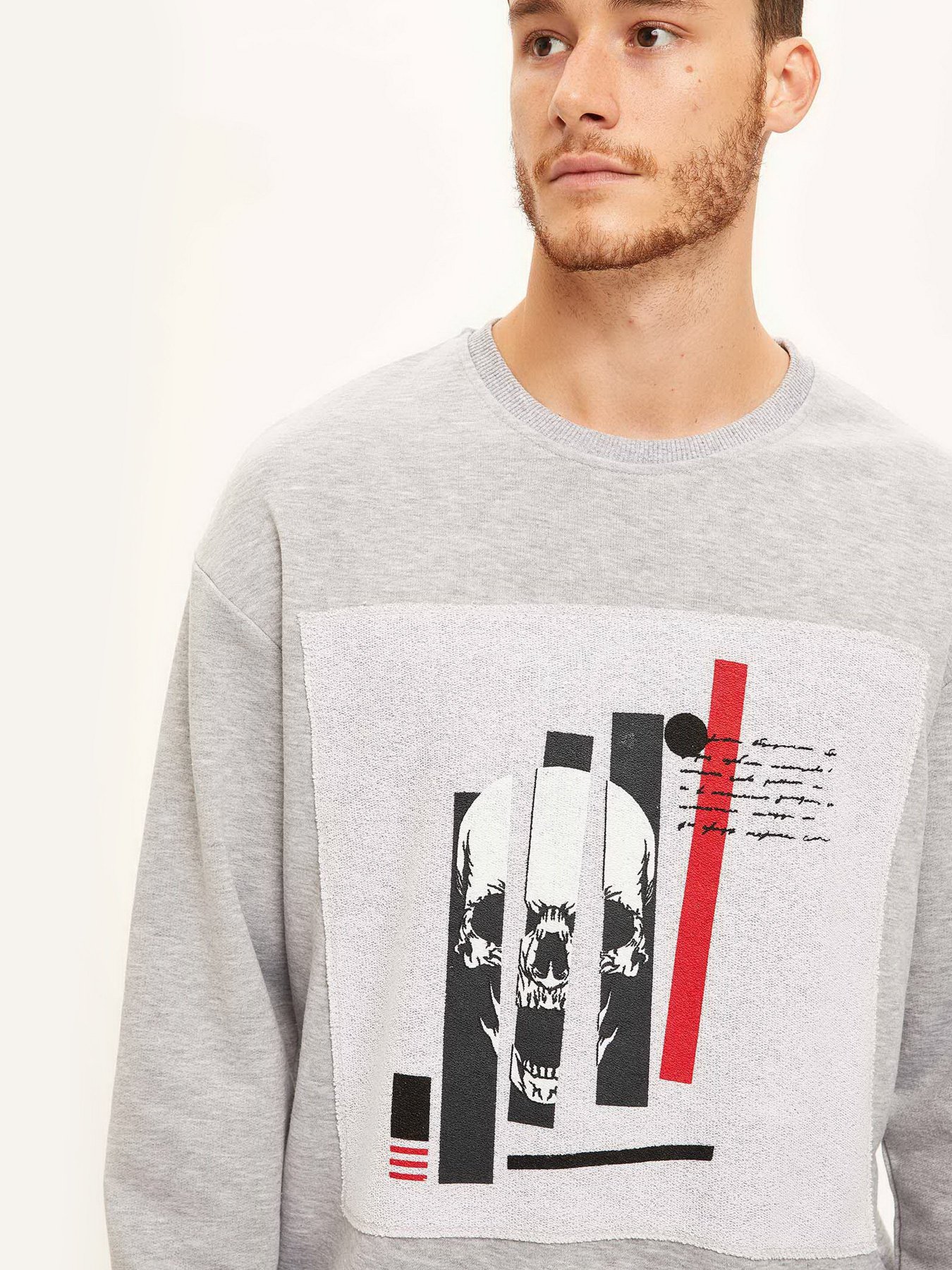 Свитшот DeFacto модель S8039AZ-GR362 Фото