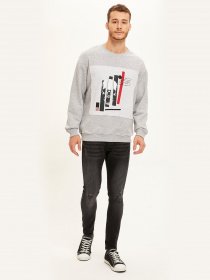 Свитшот DeFacto модель S8039AZ-GR362 Фото