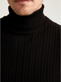 Водолазка DeFacto модель T1046AZ-BK27 Фото