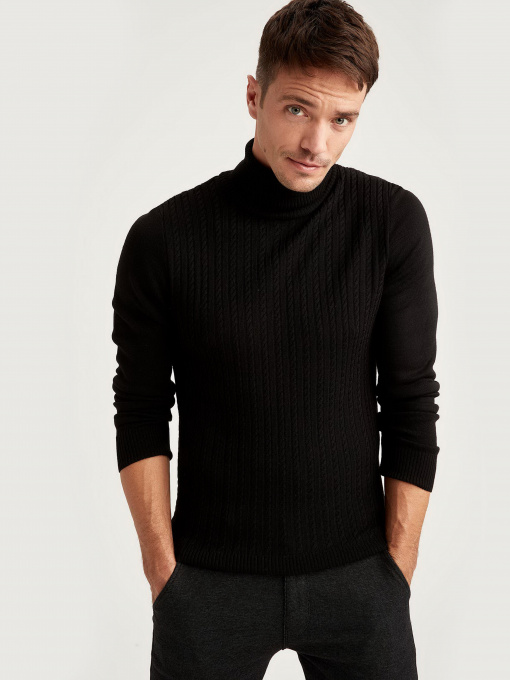 Водолазка DeFacto модель T1046AZ-BK27 Фото