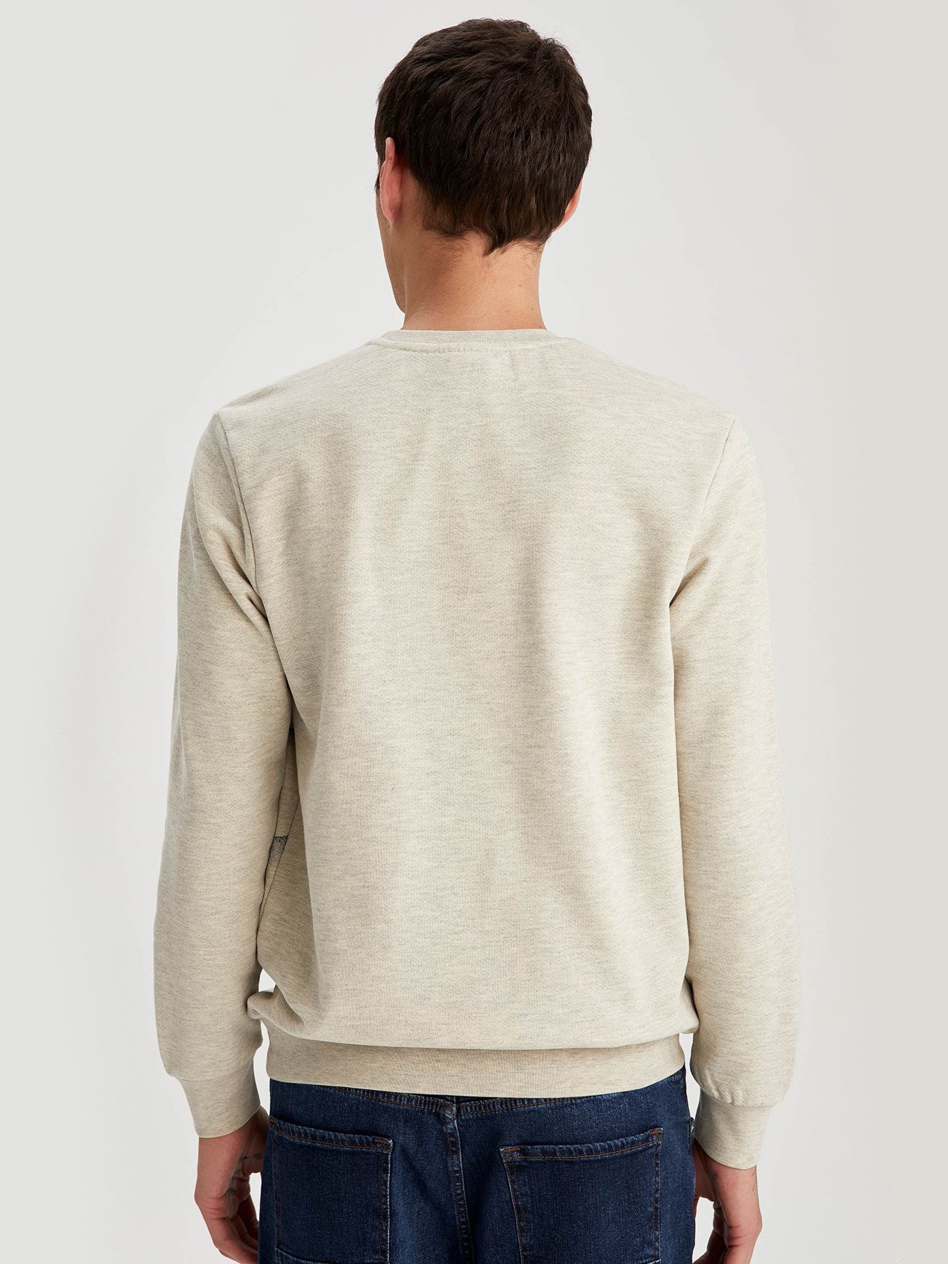 Свитшот DeFacto модель T8038AZ-BG443 Фото