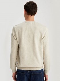 Свитшот DeFacto модель T8038AZ-BG443 Фото