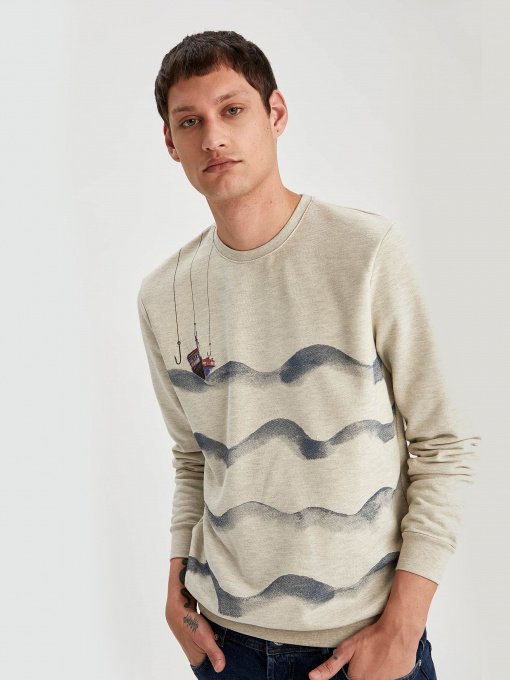 Світшот DeFacto модель T8038AZ-BG443 Фото