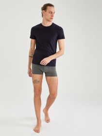 Футболка DeFacto модель L4885AZ-NV128 Футболка DeFacto модель L4885AZ-NV128 Фото