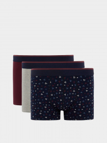 Набор трусов DeFacto модель T4914AZ-NV135 Фото