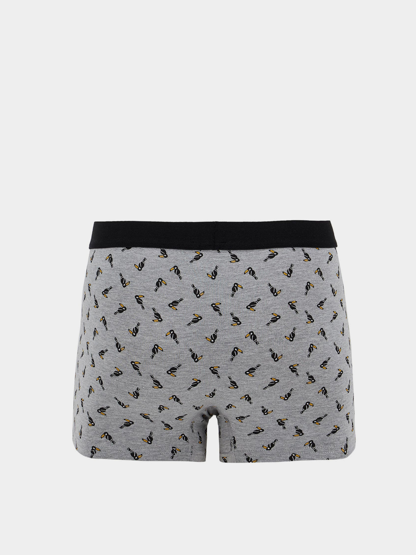 Набор трусов DeFacto модель T4928AZ-GR210 Фото