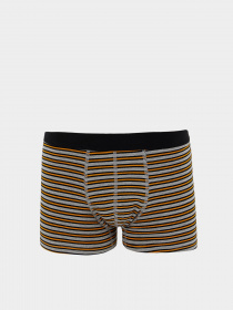 Набор трусов DeFacto модель T4928AZ-GR210 Фото