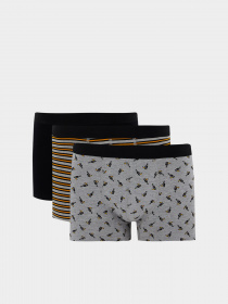 Набор трусов DeFacto модель T4928AZ-GR210 Фото