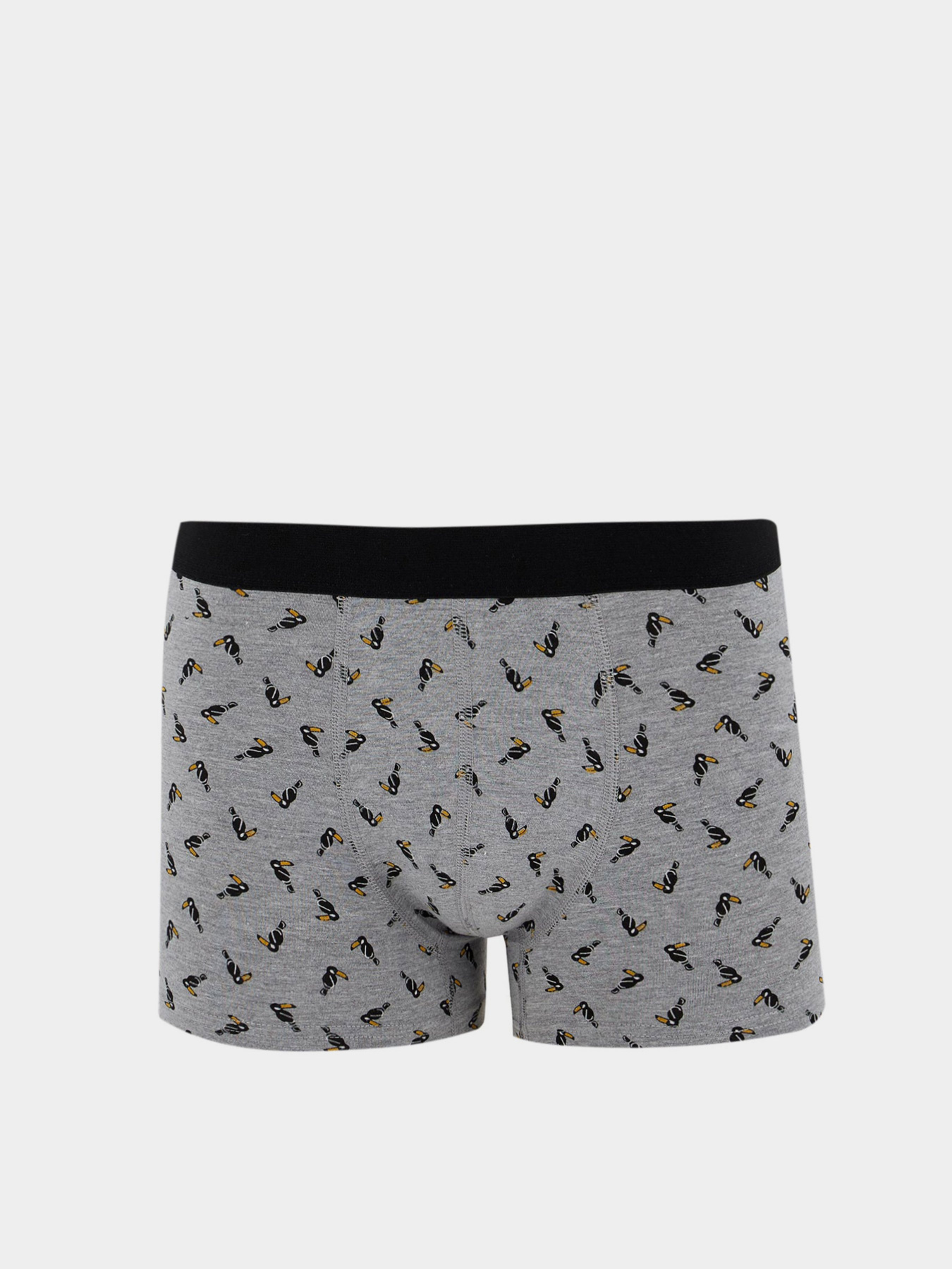 Набор трусов DeFacto модель T4928AZ-GR210 Фото