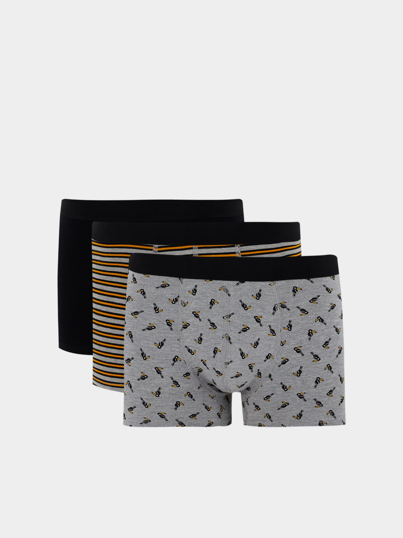 Набор трусов DeFacto модель T4928AZ-GR210 Фото