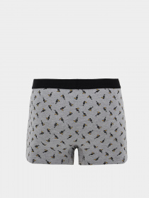 Набор трусов DeFacto модель T4928AZ-GR210 Фото