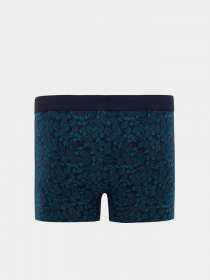 Набір трусів DeFacto модель T4935AZ-NV135 Фото