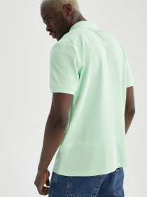 Поло DeFacto модель M7676AZ-GN930 Фото