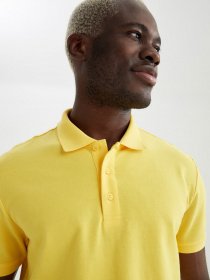 Поло DeFacto модель M7676AZ-YL424 Фото