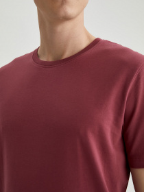 Футболки и поло DeFacto модель M7666AZ-BR444 Фото