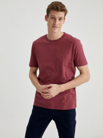 Футболки и поло DeFacto модель M7666AZ-BR444 Фото